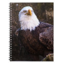 Suche nach adler notizbuch Kahladler