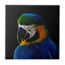 Recherche de perroquet bleu carreaux Tropical
