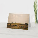 Suche nach prarie karten Rinder
