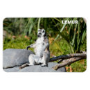 Suche nach lemur magnete Affe
