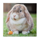 Recherche de lapins carreaux Pâques