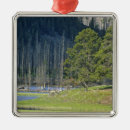 Recherche de yellowstone ornements Nature