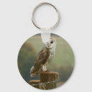 Recherche de owls porteclés Oiseau