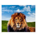 Recherche de foret posters Herbe