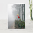 Suche nach sympathy karten Denken sie an sie