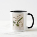 Recherche de orchidées tasses Floraison