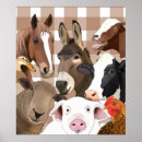 Suche nach farm animals poster Huhn