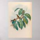 Suche nach gould poster Natur