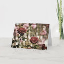 Suche nach garten rosen karten Blumenreich