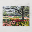 Recherche de fleurs de champ cartes postales Horizontal