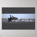 Suche nach kormoran poster Möwen