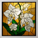Suche nach elegante orchidee poster Weiße blumen