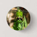 Recherche de de dragon photographie Libellule
