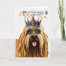 Suche nach briard karten Hunde