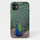Suche nach pfau fall iphone hüllen Vogel