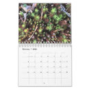 Suche nach grafik kalender Schön