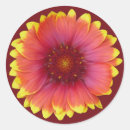 Recherche de couverture autocollants Fleur