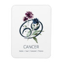 Suche nach krebs magnete Astrologie