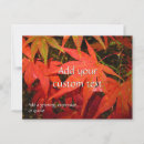 Suche nach ahorn postkarten Baum