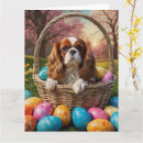 Suche nach cavalier king charles spaniel karten Haustier