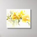 Suche nach orchid leinwandbilder Blüte