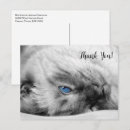 Suche nach tierrettung postkarten Vielen dank