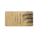 Recherche de birch autocollants Arbre