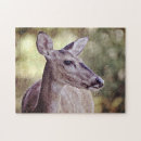 Recherche de pretty puzzles Nature
