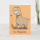 Suche nach alpaca karten Lama