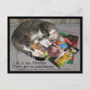 Suche nach süßes leben postkarten Kätzchen