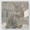 Suche nach katzenliebhaber untersetzer Foto