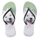 Recherche de dog tongs Chien