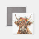 Recherche de bovin magnets Ferme