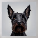 Recherche de scottish terrier posters Dog