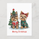 Suche nach lustige yorkshire terrier poster Lustiger hund