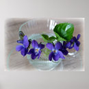 Suche nach transparente poster Gelb