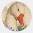 Suche nach vogelleben aufkleber Tierfreunde