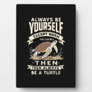 Suche nach schildkröten fotoplatten Ozean