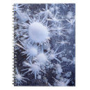 Suche nach california kleine notizbücher Blue