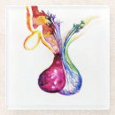 Suche nach anatomie untersetzer Biologie