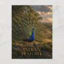 Recherche de indienne cartes postales Paon indien