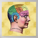 Recherche de interne anatomie posters Médical