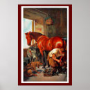 Suche nach maultiere poster Landwirtschaft