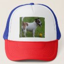 Recherche de sonnerie chapeaux Dog