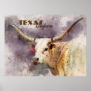 Suche nach longhorn poster Stier
