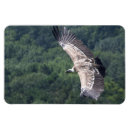 Suche nach greifer magnete Griffin