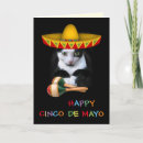 Suche nach cinco de mayo karten Sombrero