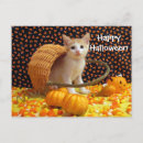 Suche nach sweets postkarten Halloween