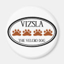 Recherche de chien de vizsla magnets Animaux