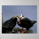 Suche nach bering Alaska
